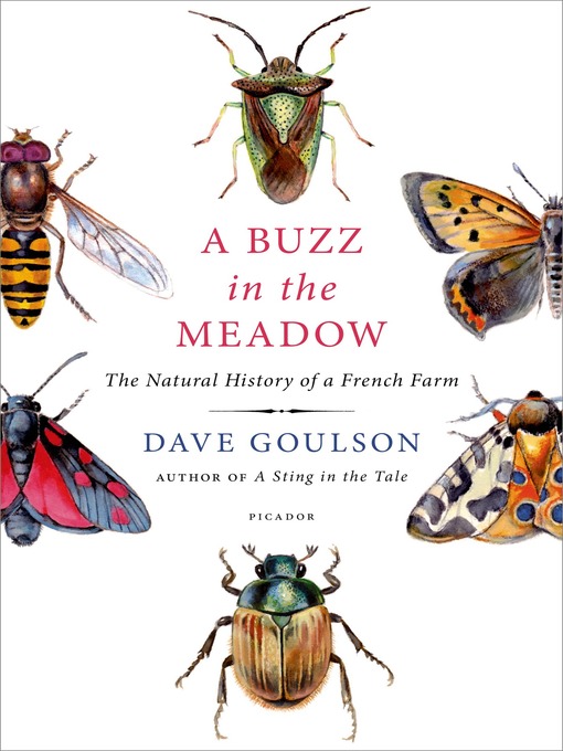 Title details for A Buzz in the Meadow by Dave Goulson - Wait list